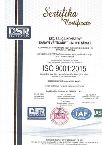 ISO_9001_VRS_2015